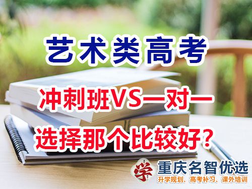 藝術生高考文化課沖刺班好還是一對一補習效果好？